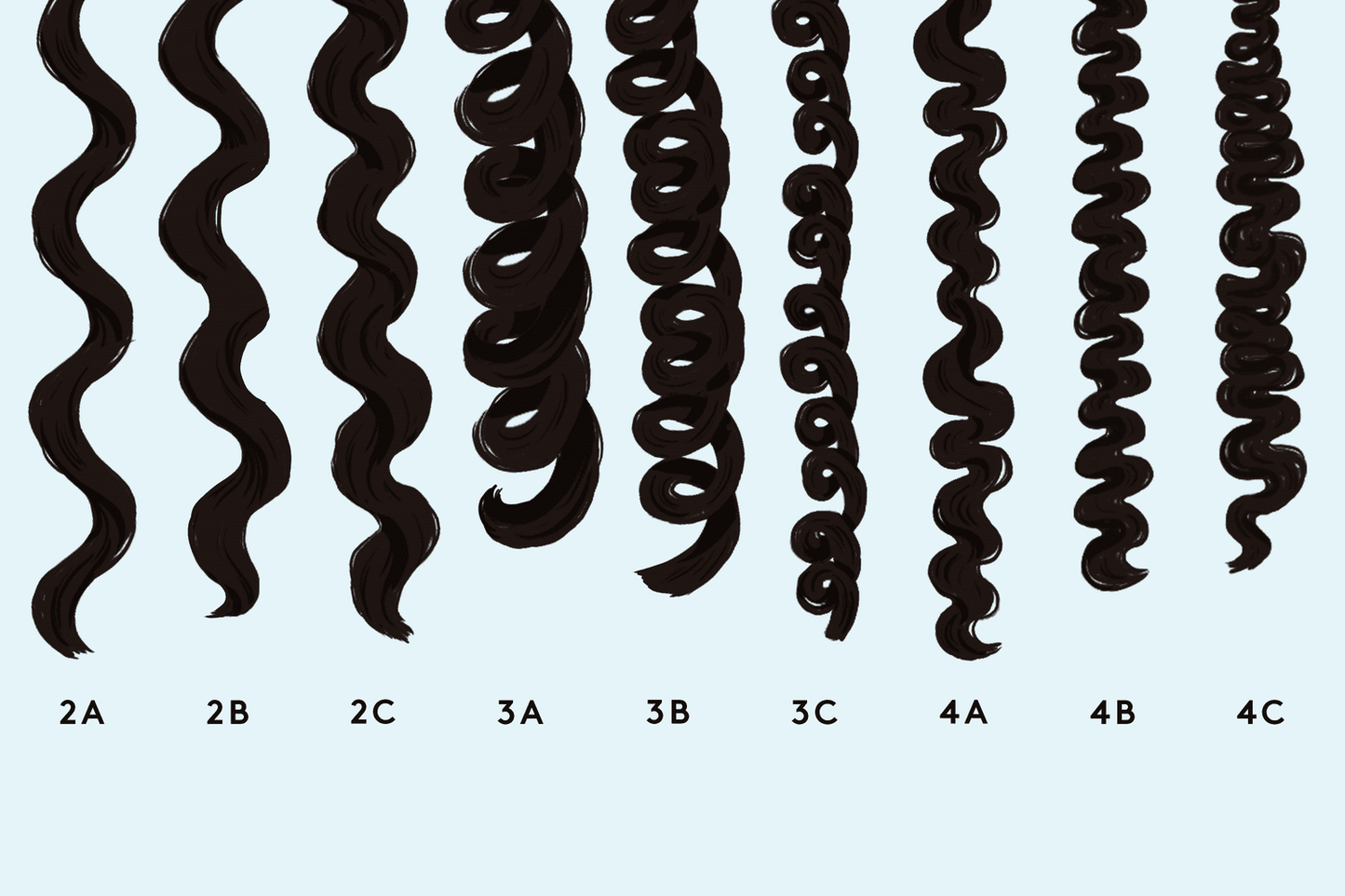 Discovering the Charm of Curls: A Guide to Celebrating Every Curl Type