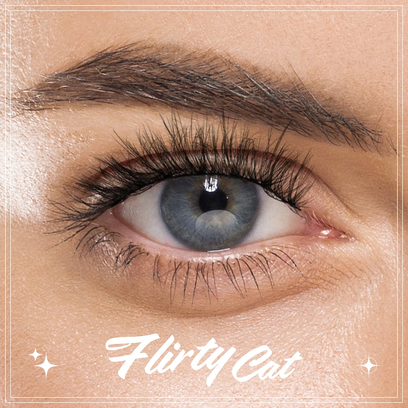 CATTITUDE 3D Lashes Flirty Cat (005)