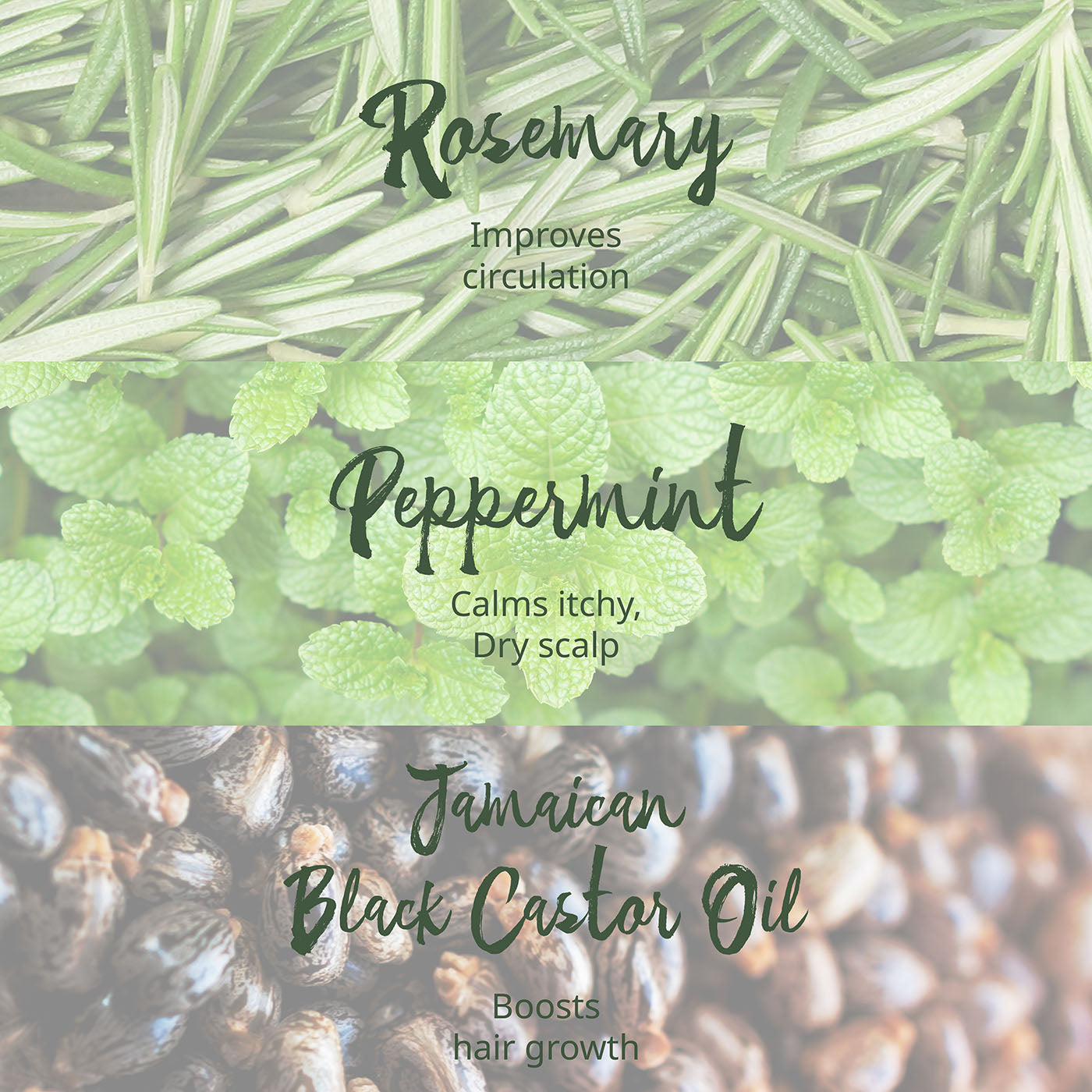 Tropic Isle Living Hair Gro Rosemary Mint Shampoo, 8oz