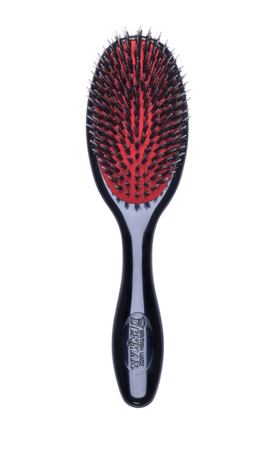 Denman D81S Small Style and Shine Brush